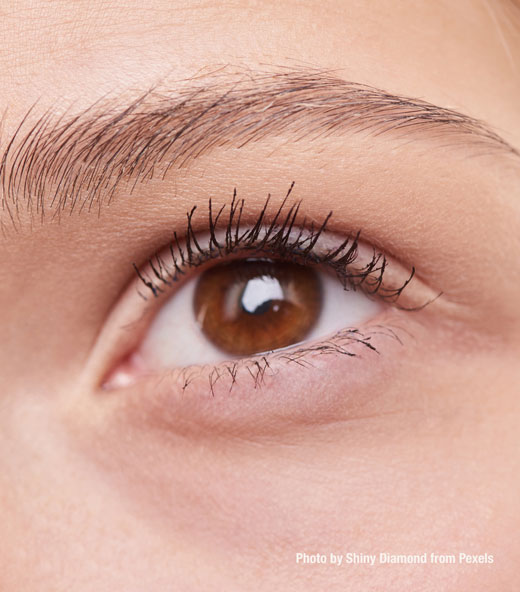 eyelid-02